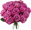 Красивый букет роз бардовых