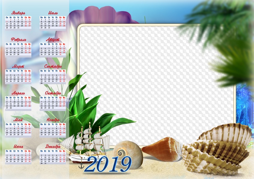Календарь на 2019 год. Морские ракушки