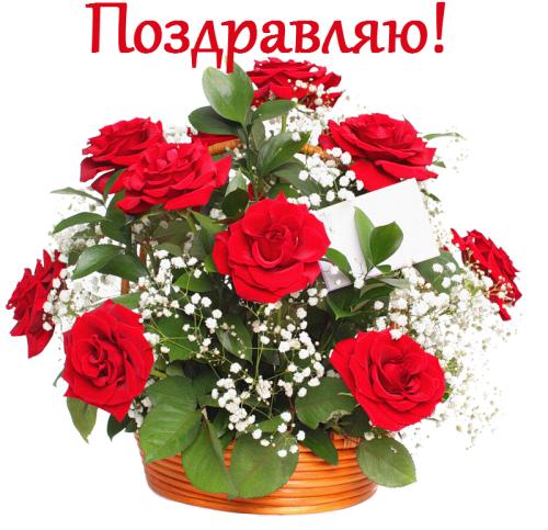 Поздравляю! Букет красных роз с белыми цветами