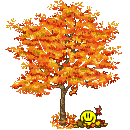 Золотое дерево осени